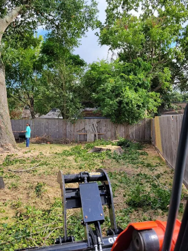 tree removal crosby tx