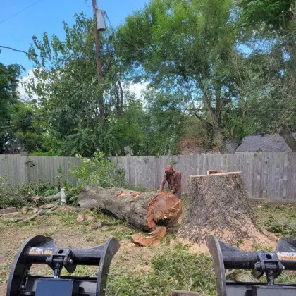 Large tree stump removal with skid steer