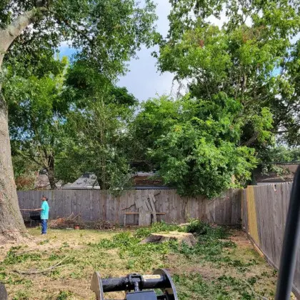 Backyard tree cleanup with heavy equipment