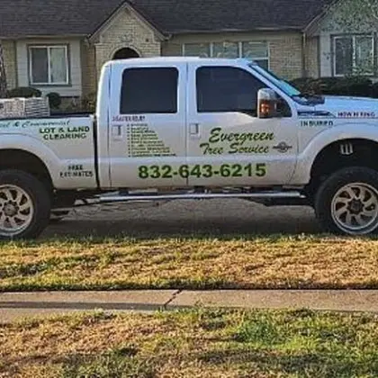 Evergreen Tree Service branded truck