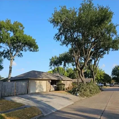 Tree trimming debris cleanup in front yard